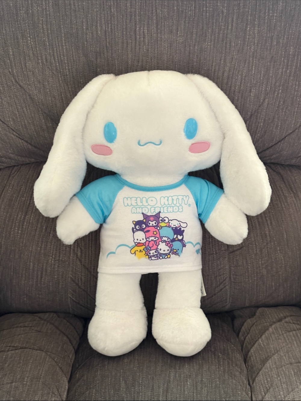 Build a Bear Sanrio Cinnamoroll